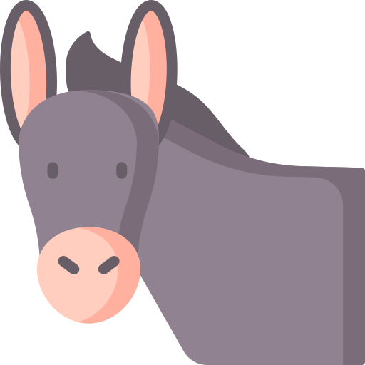 a happy donkey